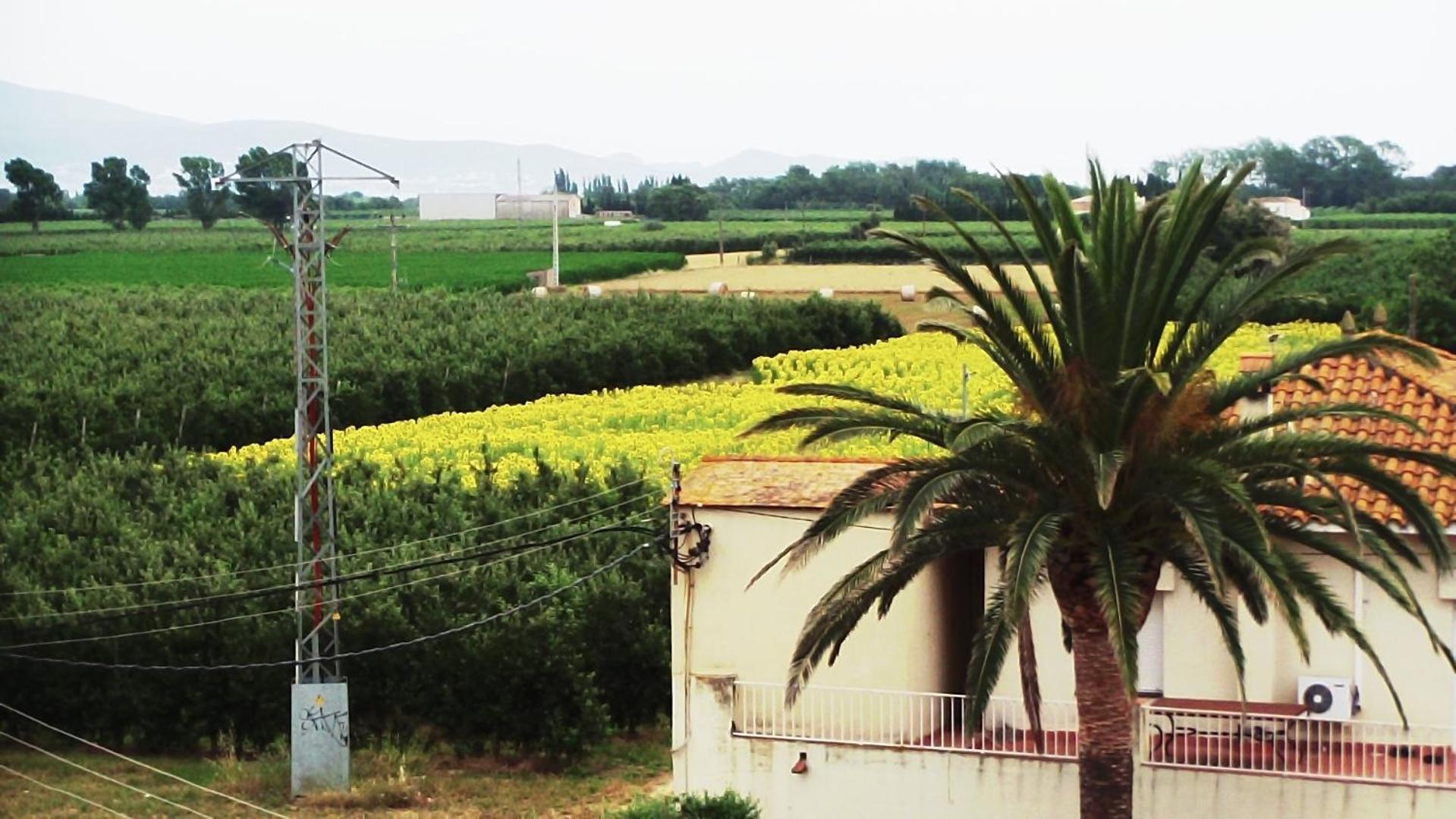 La Masia Sant Pere Pescador Bagian luar foto